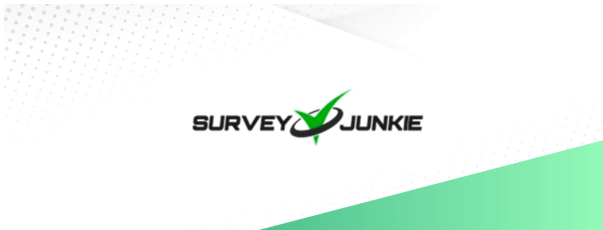 Survey Junkie Site