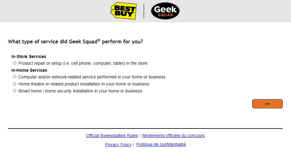 geek squad survey