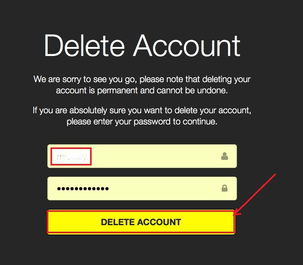 delete snapchat account