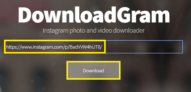 DownloadGram