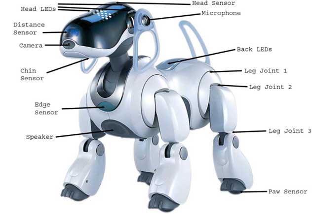 aibo robot dog features