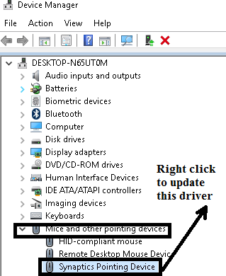 Synaptics Pointing Device