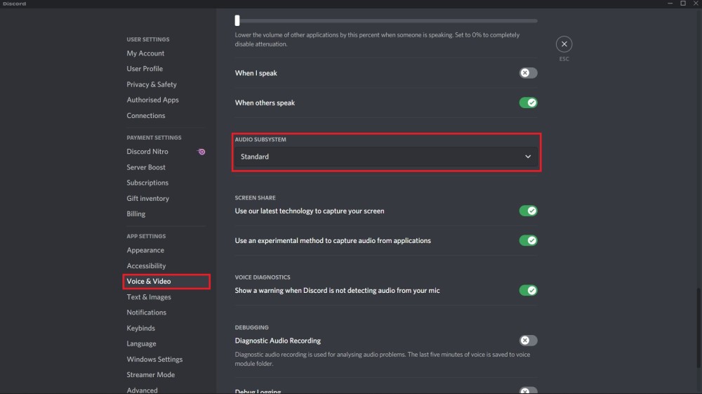 Audio Subsystem